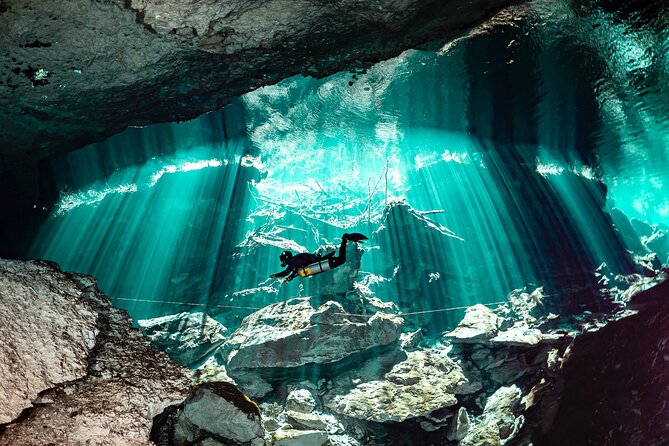 Private Scuba Diving in Cenote around Playa del Carmen - Starting at Dressel Divers in Playacar