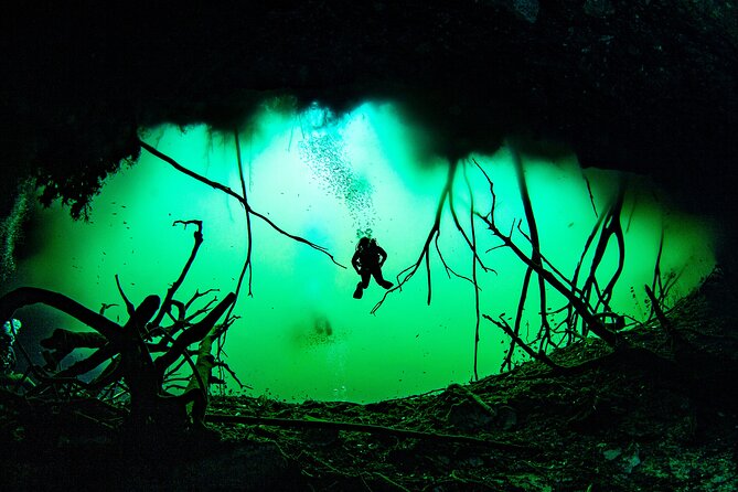 Private Scuba Diving in Cenote around Playa del Carmen - The road to the selected cenote