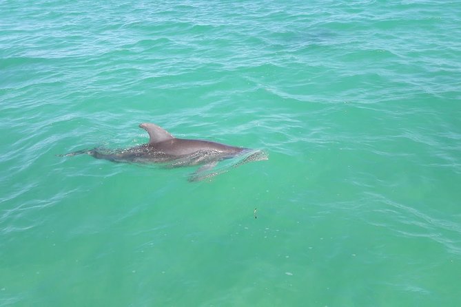 Private Sian Kaan Biosphere Tour - Why Sian Ka’an feels different from a beach excursion