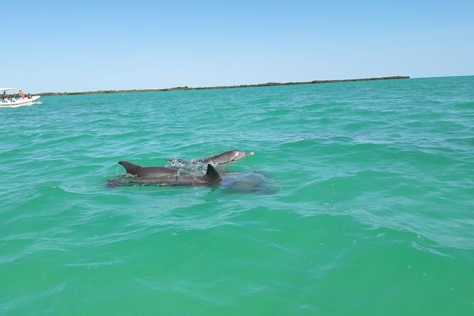 Private Sian Kaan Biosphere Tour - Lunch in Punta Allen