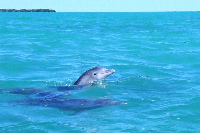 Private Sian Kaan Biosphere Tour - The early pickup from Playa del Carmen
