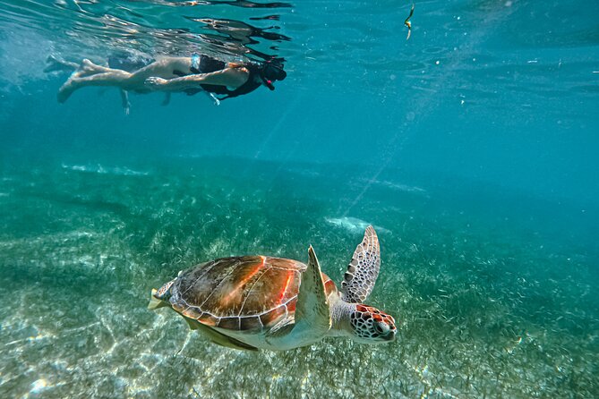 "Private snorkeling with turtles in Akumal + Photos included" - The guides: Alex, Raymundo, Isaac, and the wider team