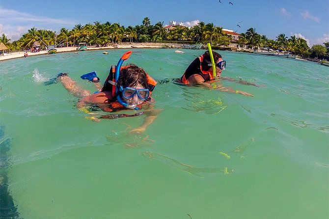 Private Tour: Akumal Marine Turtle Snorkeling and Cenote Adventure - Who will get the most from this outing
