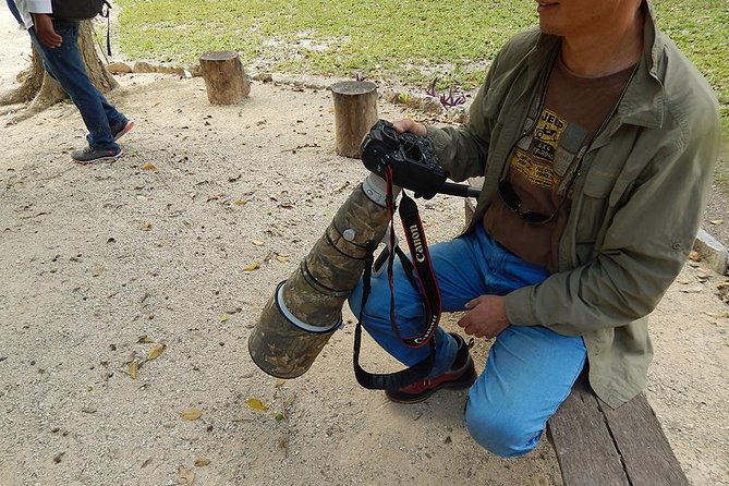 Private Tour: Birdwatching Playa del Carmen - Is $525 a Fair Price?