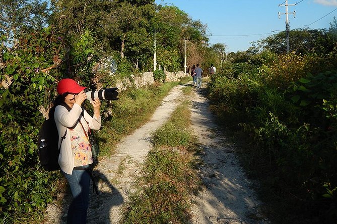 Private Tour: Birdwatching Playa del Carmen - Weather, Fitness, and What to Bring