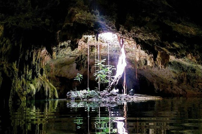 Private Tour Cenotes Sac Actun The Longest Underground River - Lunch, snacks, and the value of the $203.12 price