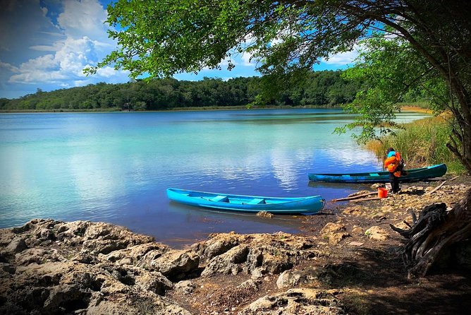 Private Tour: Coba ruins & Monkey Sanctuary with Punta Laguna - Lunch, water, and the value of a private vehicle