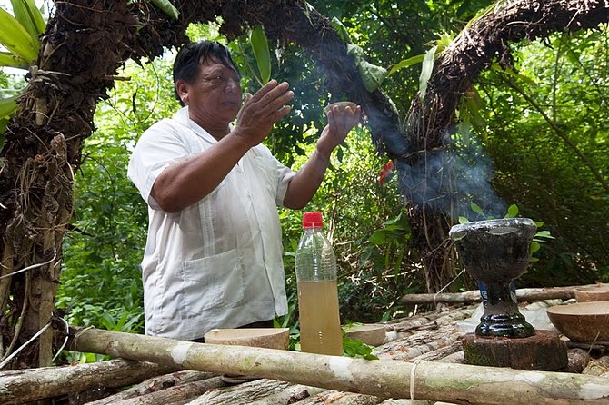 Private Tour Punta Laguna Monkey Sanctuary Zip Line - Hiking Through the Forest in Search of Spider Monkeys