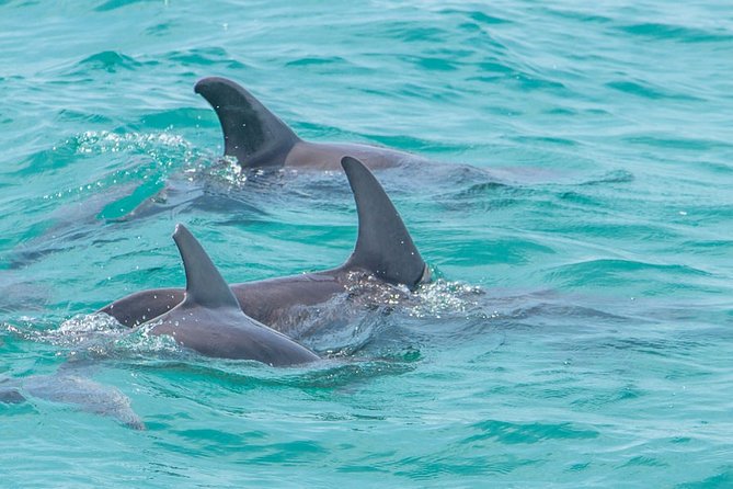 Private tour - Sian Ka´an Adventure - Food, comfort, and the reality of a 10-hour day