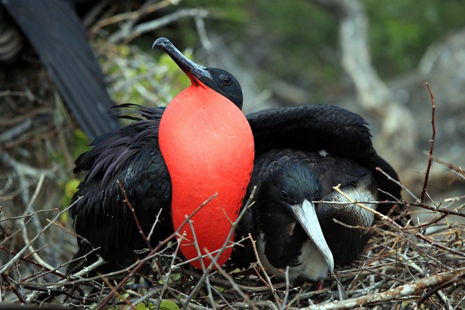 Private tour - Sian Ka´an Adventure - Is $619 per person good value?