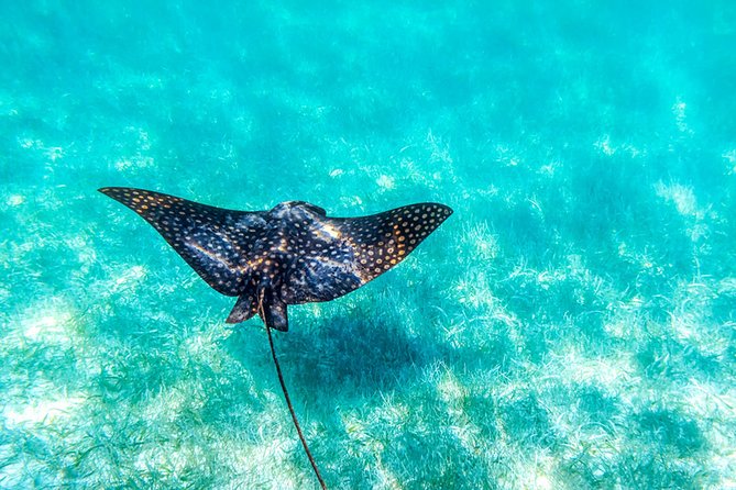 Private tour - Sian Ka´an Adventure - Stop 1: Sian Kaan Biosphere Reserve by boat