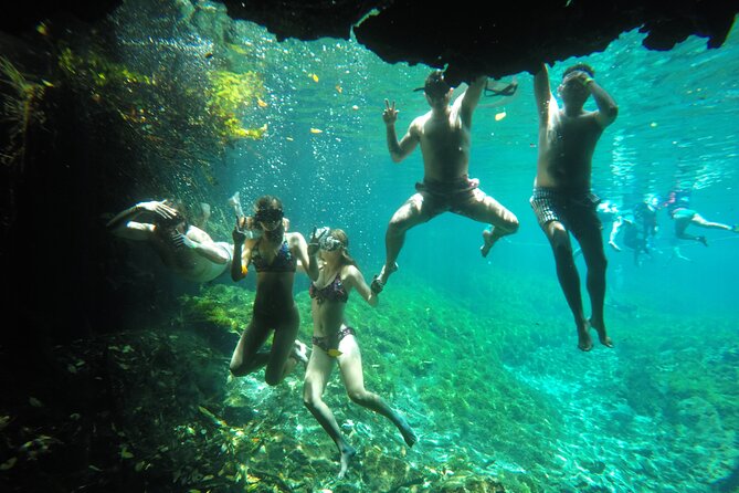 Private Tour Swim with Turtles, 2 Cenotes & Gopro - Why the private setup matters