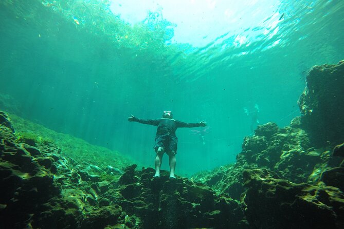 Private Tour Swim with Turtles, 2 Cenotes & Gopro - One hour with turtles, rays, and tropical fish