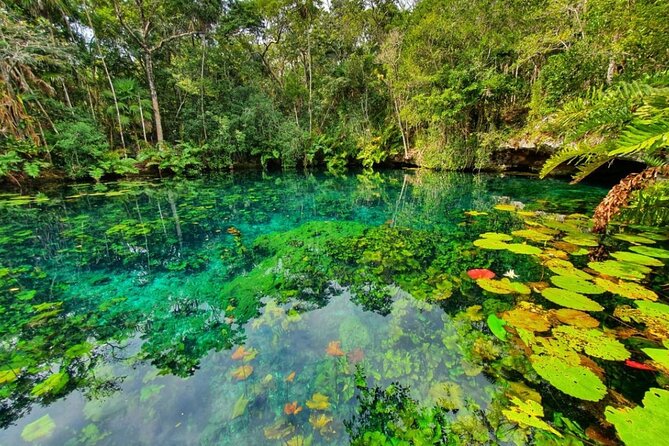 Private Tour Tankah 3 Zip Lines 3 Cenotes Canoe Snorkel Community - Why Tankah works well as a private half-day