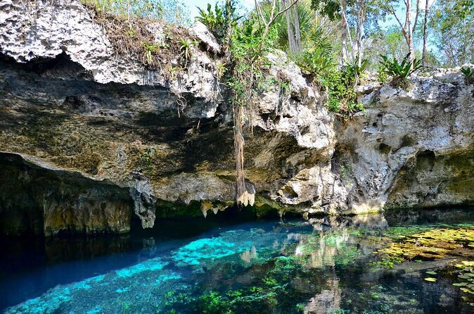 Private Tour The Best Cenotes in Tulum Riviera Maya - Key points before you book