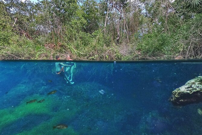 Private Tour The Best Cenotes in Tulum Riviera Maya - Mexican food after the water