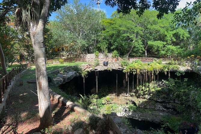 Private Tour to Chichén Itzá with Cenote Experience - The private vehicle and guide shape the experience