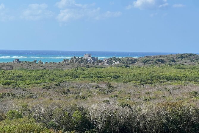 Private Tour to Tulum and Swimming with Turtles in Akumal - What the Guide Adds