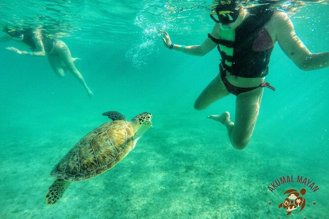 Private Tour to Tulum and Swimming with Turtles in Akumal - Should You Book This Tulum and Akumal Day?