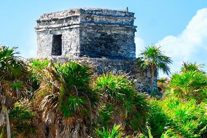 Private Tour to Tulum, Cenote and Swimming with Turtles - Searching for turtles at Akumal Bay