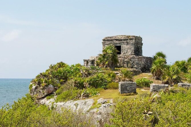 Private Tour to Tulum, Cenote and Swimming with Turtles - What the private vehicle adds