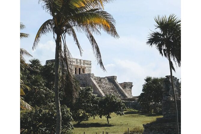 Private Tour to Tulum, Cenote and Swimming with Turtles - One hour in the cool water at Cenote Taak Bi Ha
