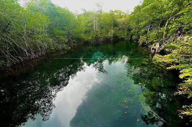 Private Tour to Tulum Cenotes Sac Actun - Who will enjoy this most?