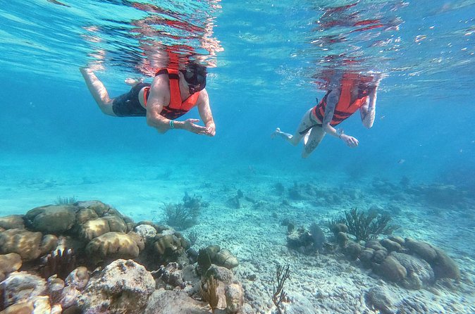 Private Tour Tulum Ruins and Snorkeling in National Park - Transportation, pickup, and the value of privacy