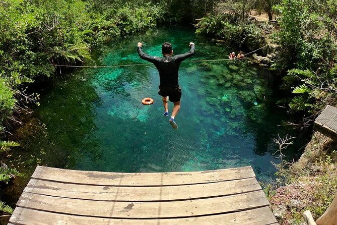 Private Tour Tulum Tortugas Cenote Beach All Inclusive - Who should book this experience