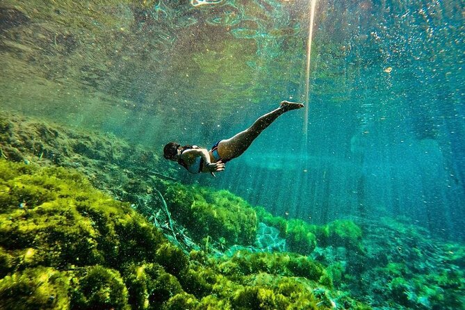Private Tour Turtles Coral Reef Cenote Beach All inclusive - A private morning with room to adjust