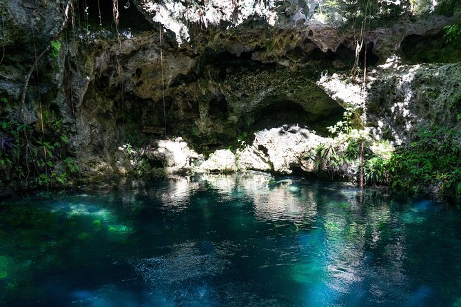 Private Tour with 3 Cenotes + 5 Zip-lines + Mayan Lunch - Private transportation from your hotel