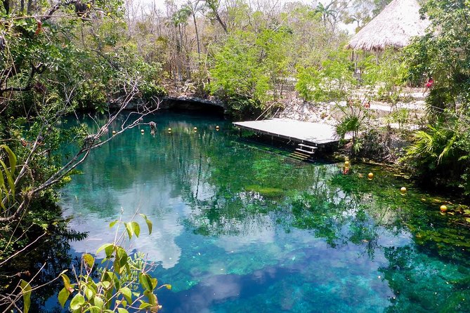 Private transfer for 5 hours (go dinner,cenotes, shopping and more) - Why the private vehicle can be worth $299