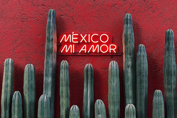 Private Transfer from Playa del Carmen to Tulum - Why a local driver can add value