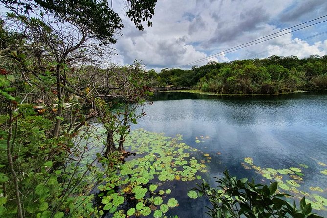 Private - Tulum Ruins and 3 Cenotes Jungle Adventure - Why a private tour changes the day