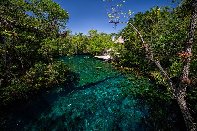 Private - Tulum Ruins and 3 Cenotes Jungle Adventure - Price, value, and the private-tour tradeoff