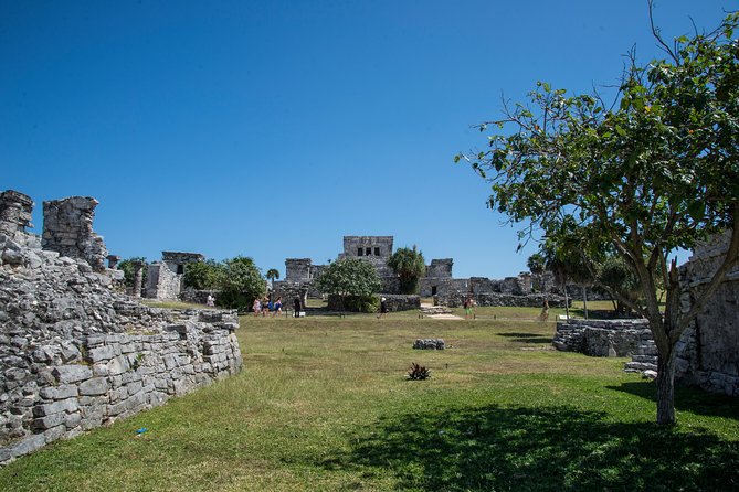 Private Tulum Ruins, Turtles in Akumal and Cenote Adventure - Why the private van matters
