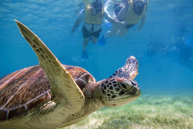 Private Turtle Snorkel Adventure in Akumal - Akumal Bay and the promise of sea turtles