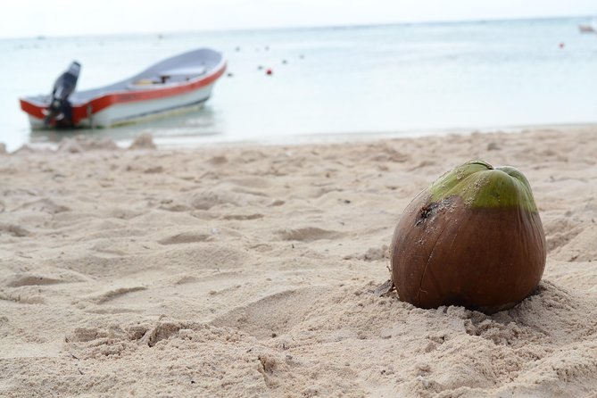 Private Turtle Snorkel Adventure in Akumal - Is $295 per person a fair price?