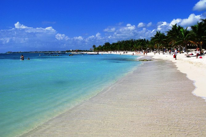 Private Turtle Snorkel Adventure in Akumal - Practical timing and booking advice