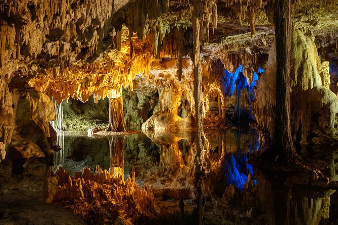 Private Turtles & Cenotes Adventure - What the Private Format Really Buys You