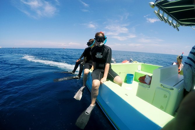 Private Whale Shark All Inclusive Experience - The early start from Playa del Carmen or Cancun
