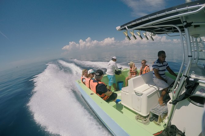 Private Whale Shark All Inclusive Experience - Who will enjoy this most