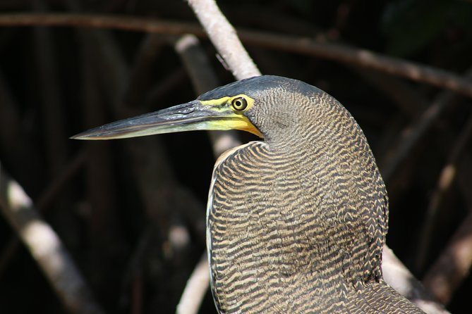 Private Yucatan Discovery Tour - Day 1: Flamingos, salt lakes, and Valladolid’s Franciscan past