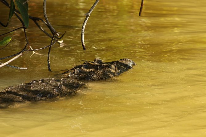 Private Yucatan Discovery Tour - Day 4: Coba’s jungle setting and Tulum by the Caribbean