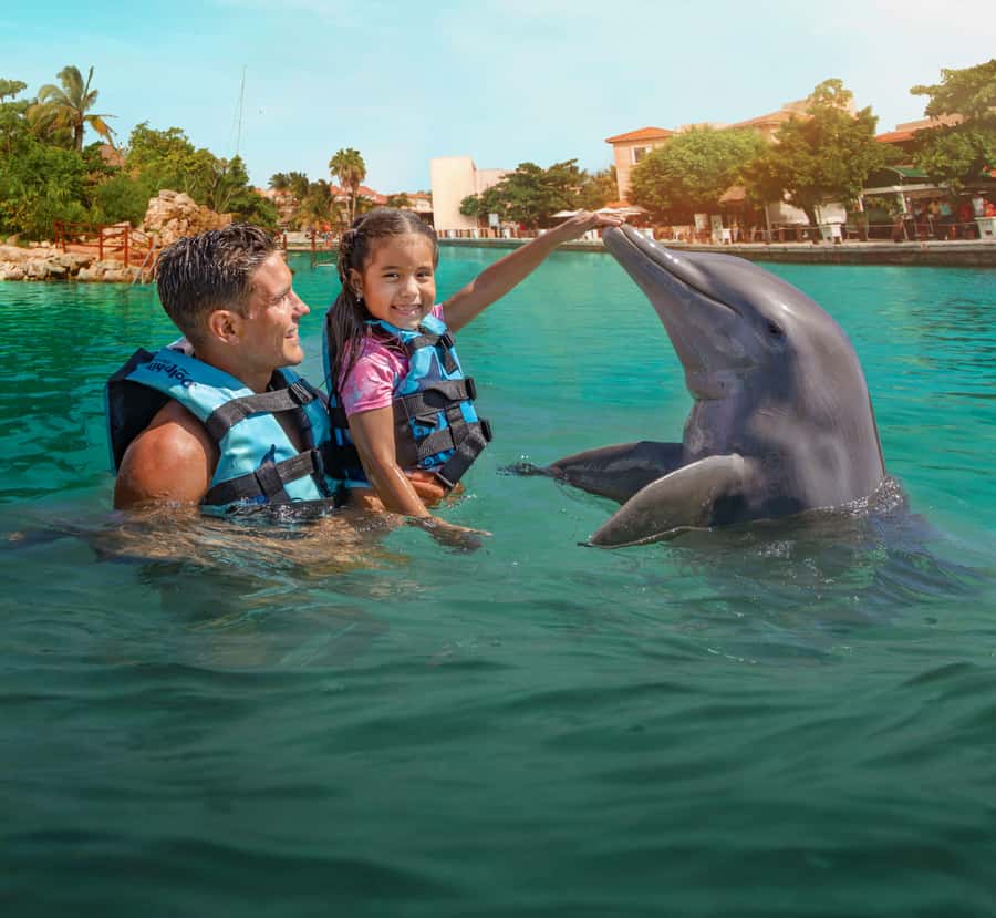 Puerto Aventuras: Dolphin and Manatee Interaction with Lunch - Photography is useful but costs extra