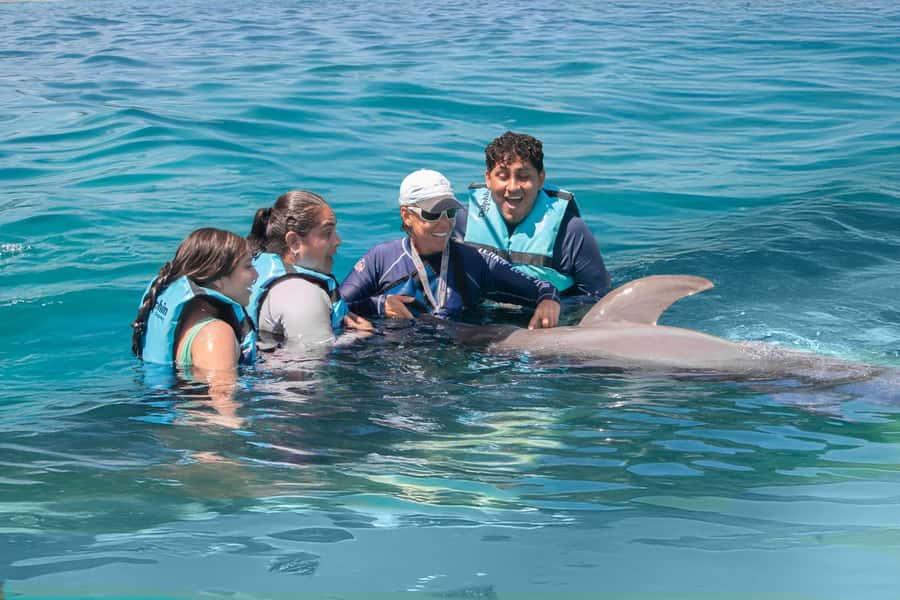 Puerto Aventuras: Dolphin and Manatee Interaction with Lunch - The dolphin session includes more than a quick swim