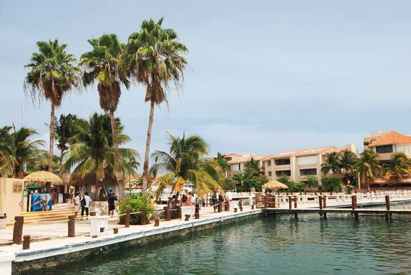 Puerto Aventuras: Dolphin Encounter with Buffet Lunch - Cameras, photographs, and what to pack