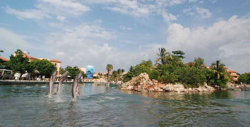Puerto Aventuras: Dolphin Encounter with Buffet Lunch - The marina makes this more than a quick animal encounter