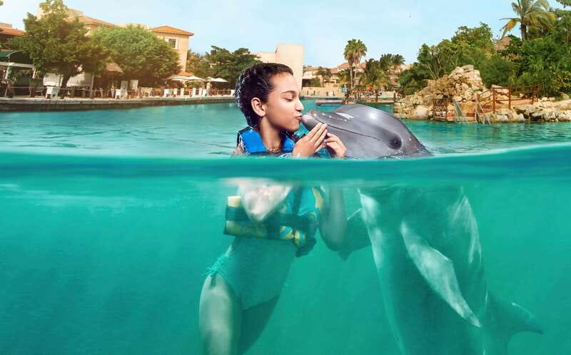 Puerto Aventuras: Dolphin Encounter with Buffet Lunch - What happens during the 40-minute water session
