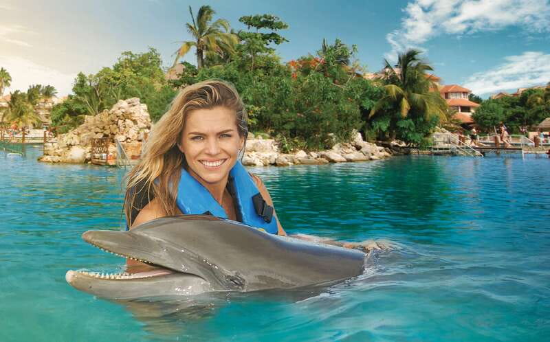Puerto Aventuras: Dolphin Swim, Sea Lions, Manatees, & Lunch - Three marine mammals in two hours